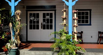 Sadie Thompson Inn
