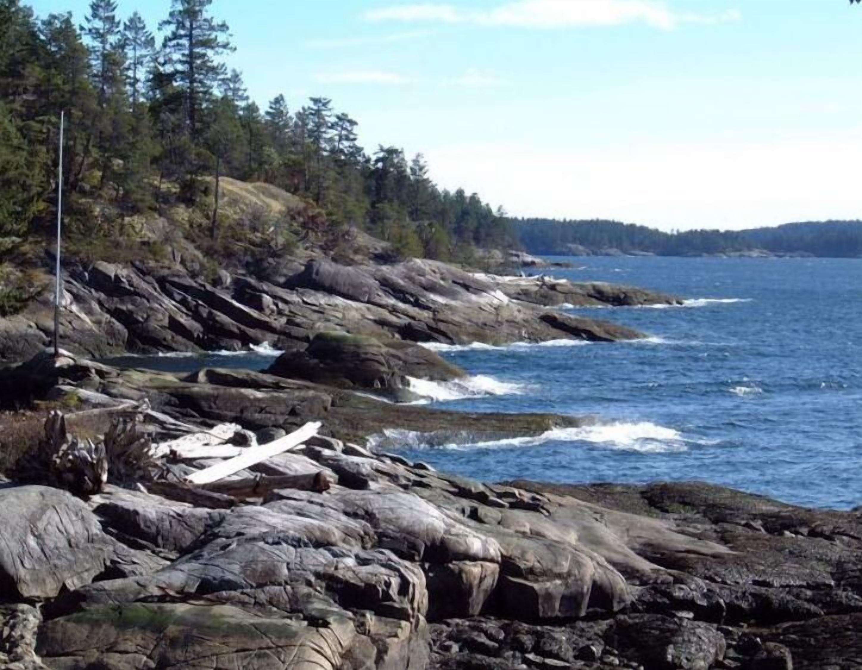 Eine felsige Küste mit Wasser, Bäumen und blauem Himmel.