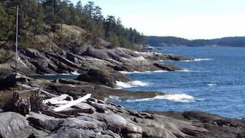Eine felsige Küste mit Wasser, Bäumen und blauem Himmel.