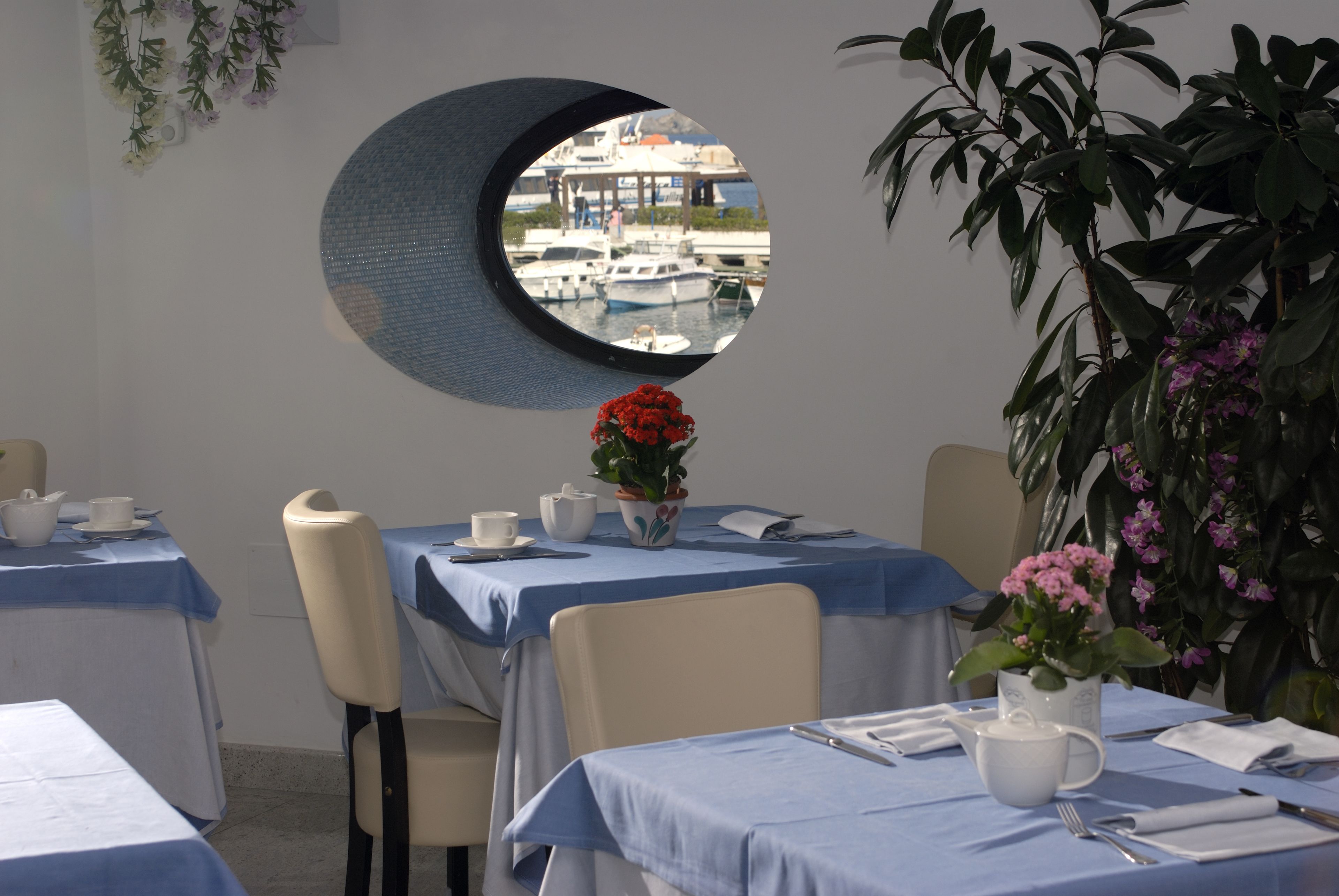 Foto - Hotel Villa Carolina