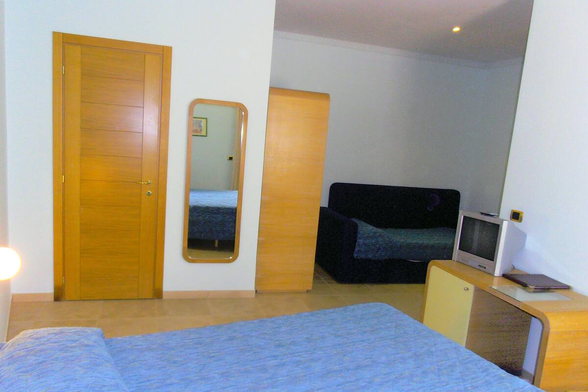 Une chambre à coucher avec un lit, une télévision, un miroir et une porte.