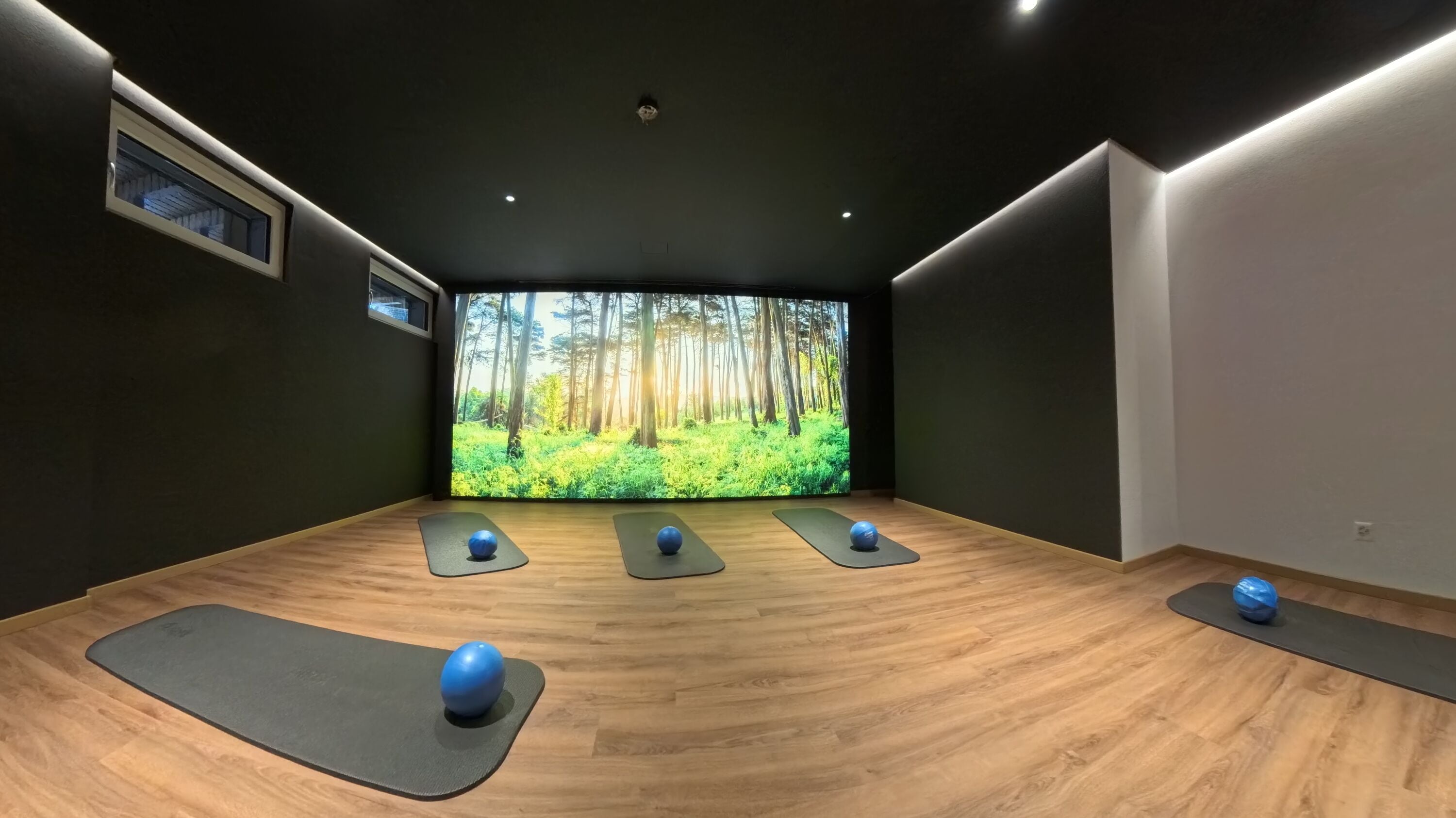 Una habitación con una gran pantalla que muestra un paisaje forestal, suelo de madera y tres balones de ejercicios sobre colchonetas.