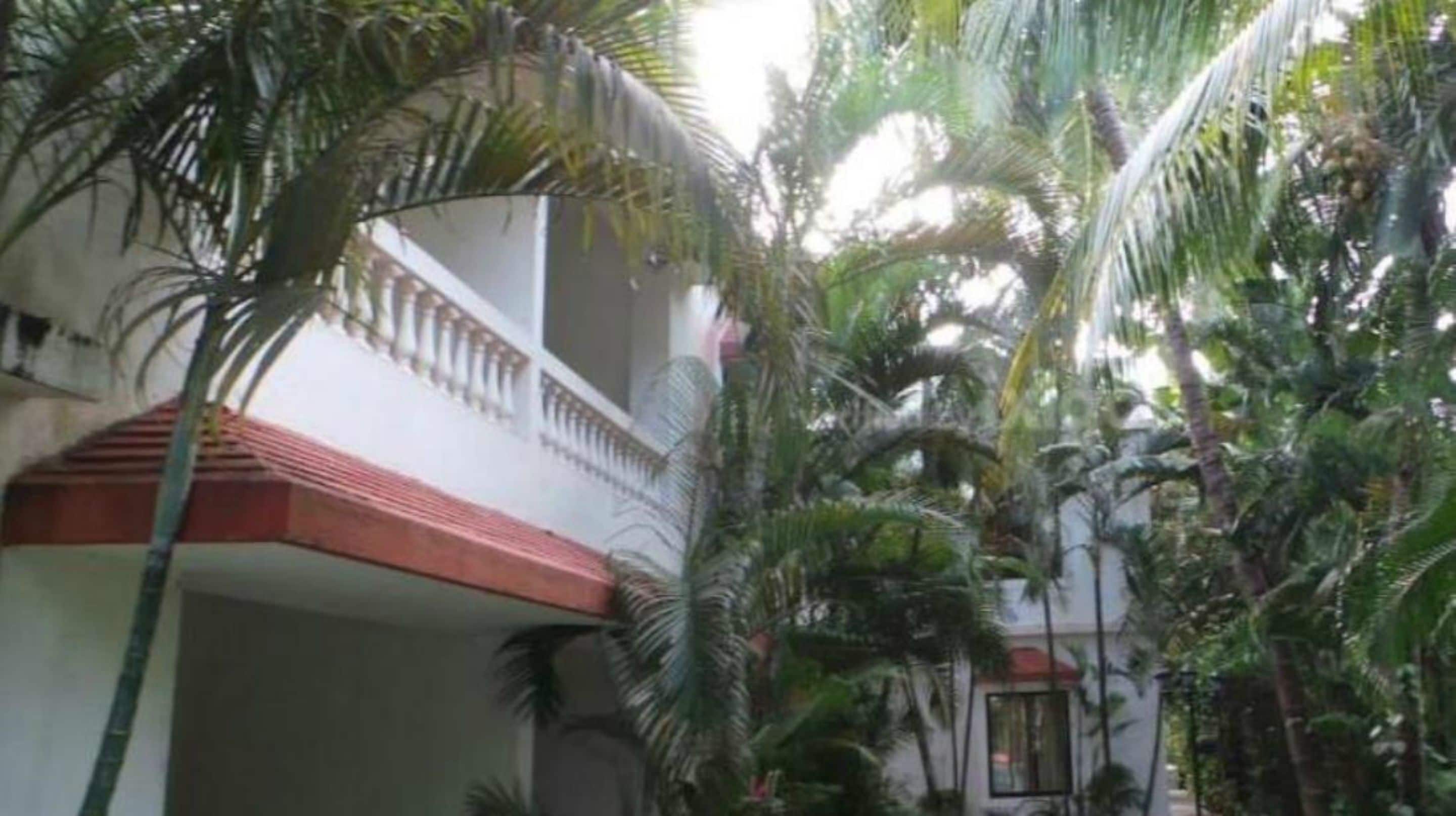 A two-story building with a balcony, surrounded by dense tropical foliage.