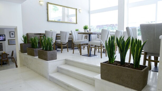 Un intérieur moderne avec un escalier menant à un espace repas, comprenant des chaises grises, une table et des plantes en pot.