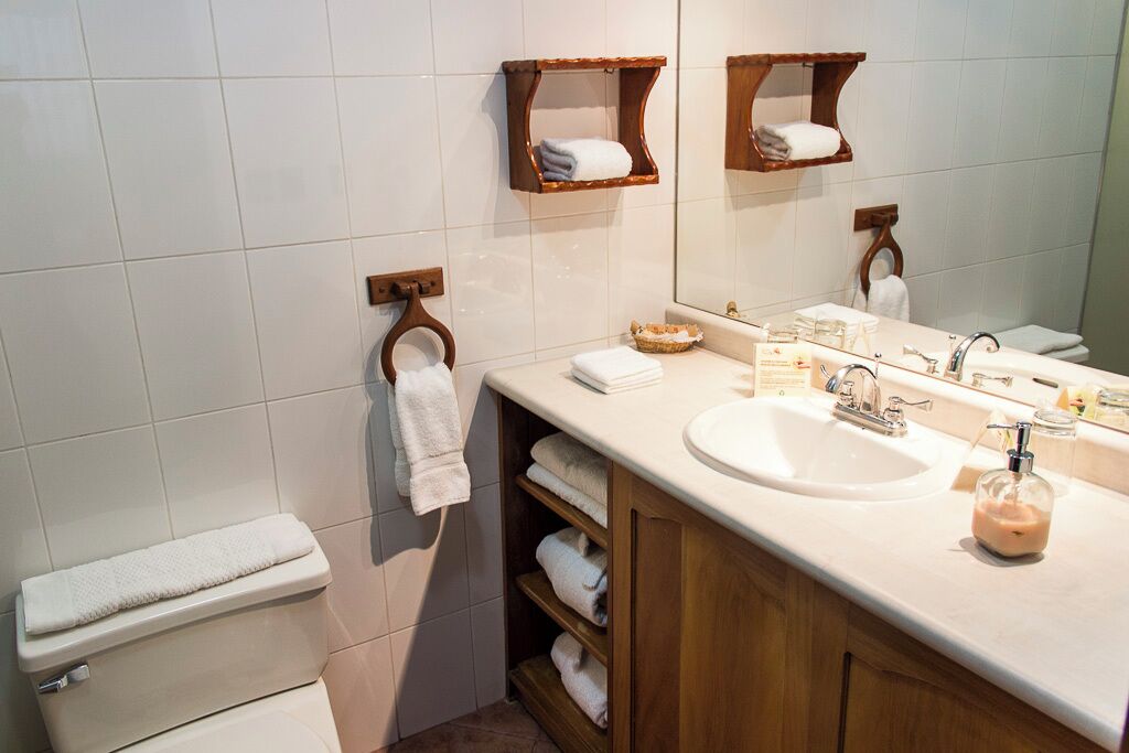 shower, rainfall showerhead, designer toiletries, hair dryer