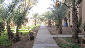 Un chemin bordé de palmiers et de plantes en pot, qui mène à un bâtiment à la façade beige.
