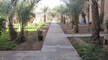 Jardines del alojamiento