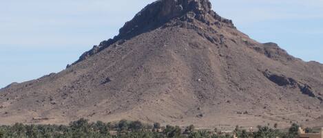 Una montaña con un pico rocoso, rodeada de palmeras y algunos edificios.