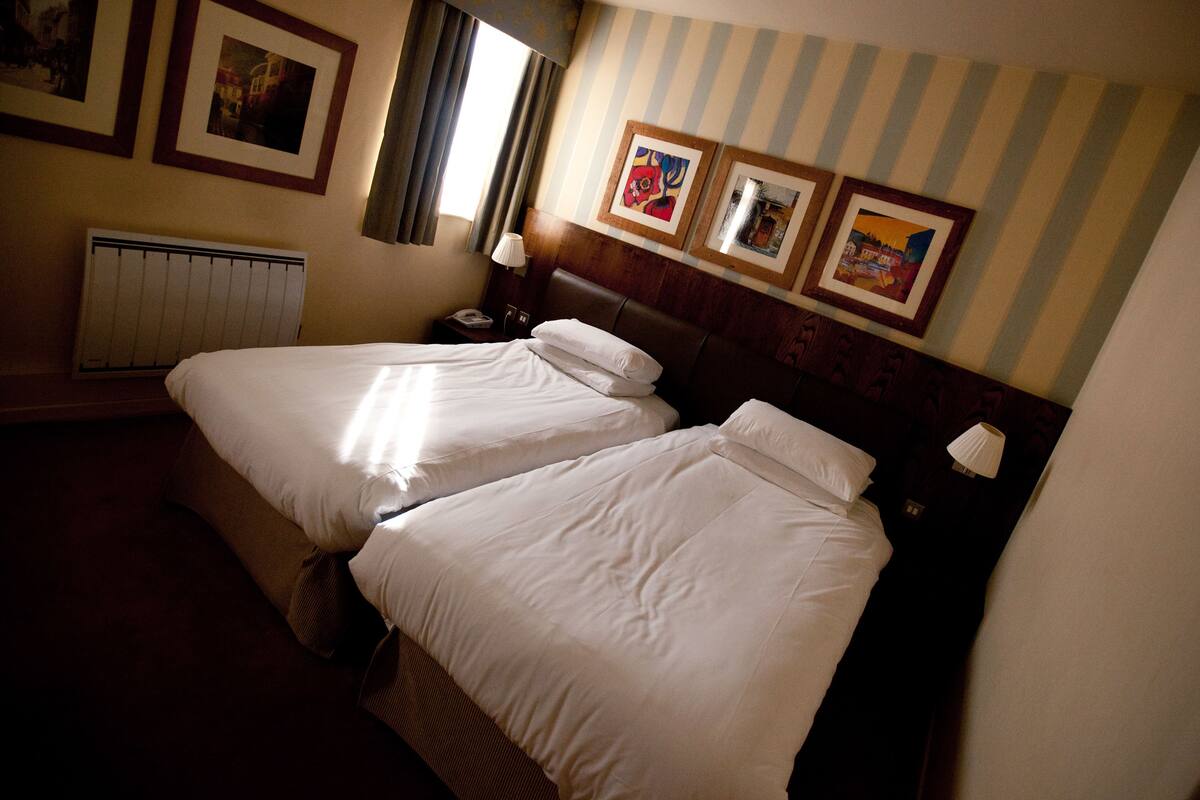 Standard Twin Room | Desk, iron/ironing board, cribs (free), rollaway beds (surcharge)