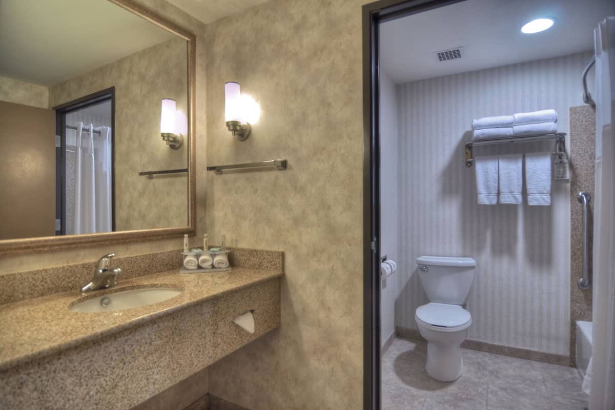 A bathroom with a sink, mirror, towel rack, and toilet.