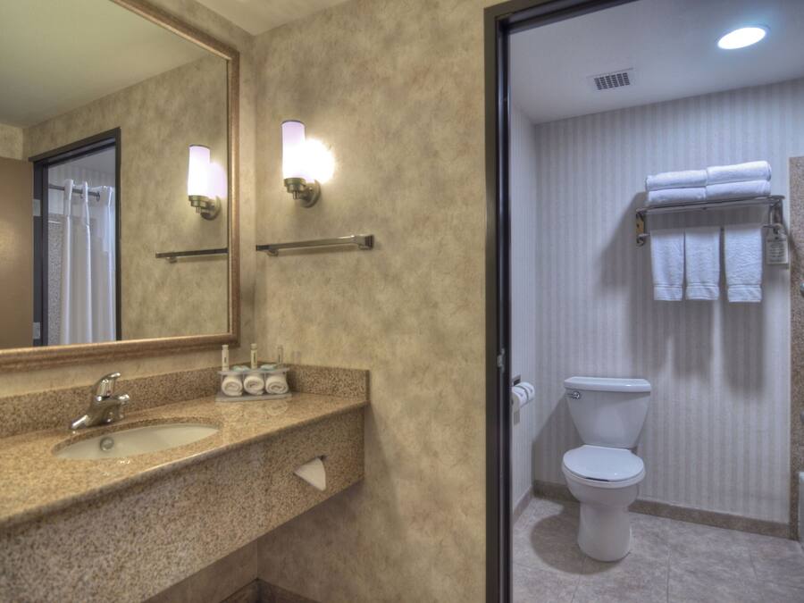 Standard Room, 1 King Bed, Accessible (Communications) | Room amenity