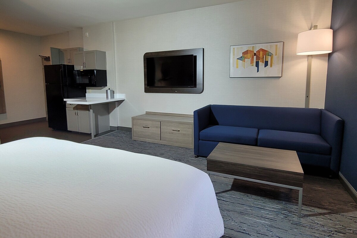 Una habitación de hotel con una cama, un escritorio, un televisor, un sofá y una lámpara.