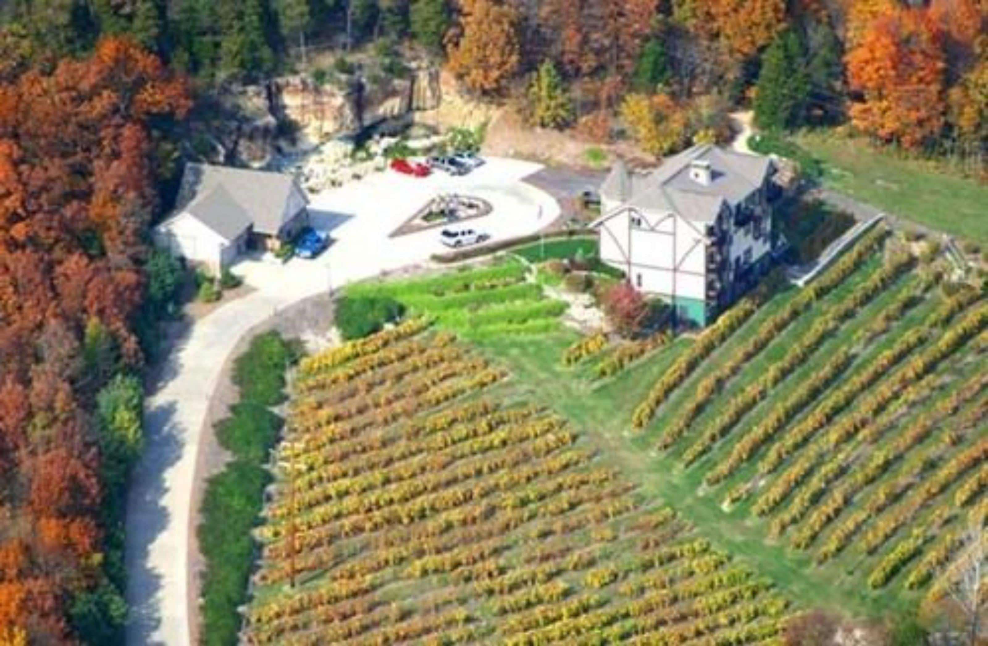A vineyard with rows of grapevines, a building with a sloped roof, and a parking area with cars.