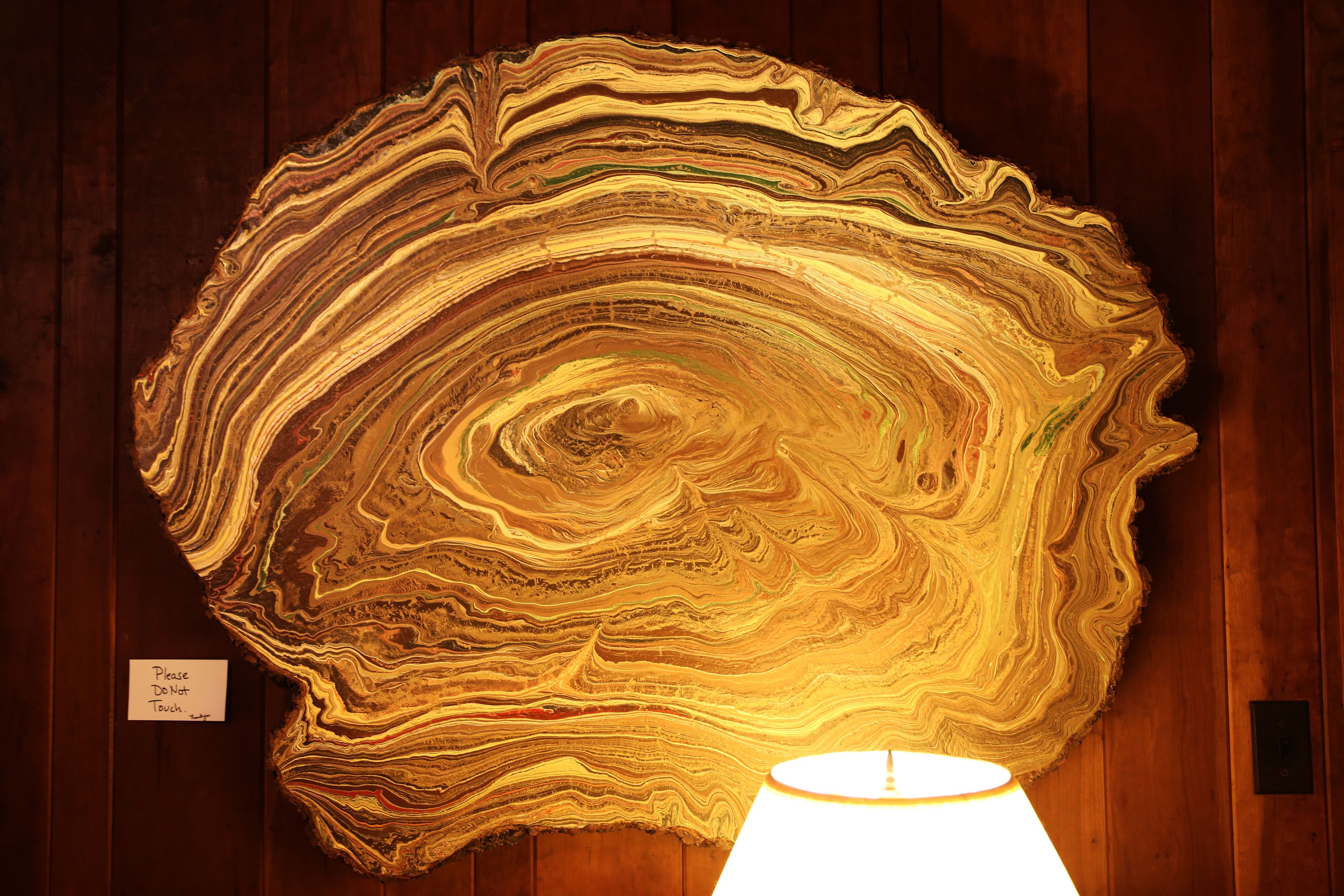 A large, natural-looking rock slab with a swirling pattern, mounted on a wooden wall.