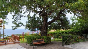 Un parque con un árbol grande, un banco y un área de juegos.