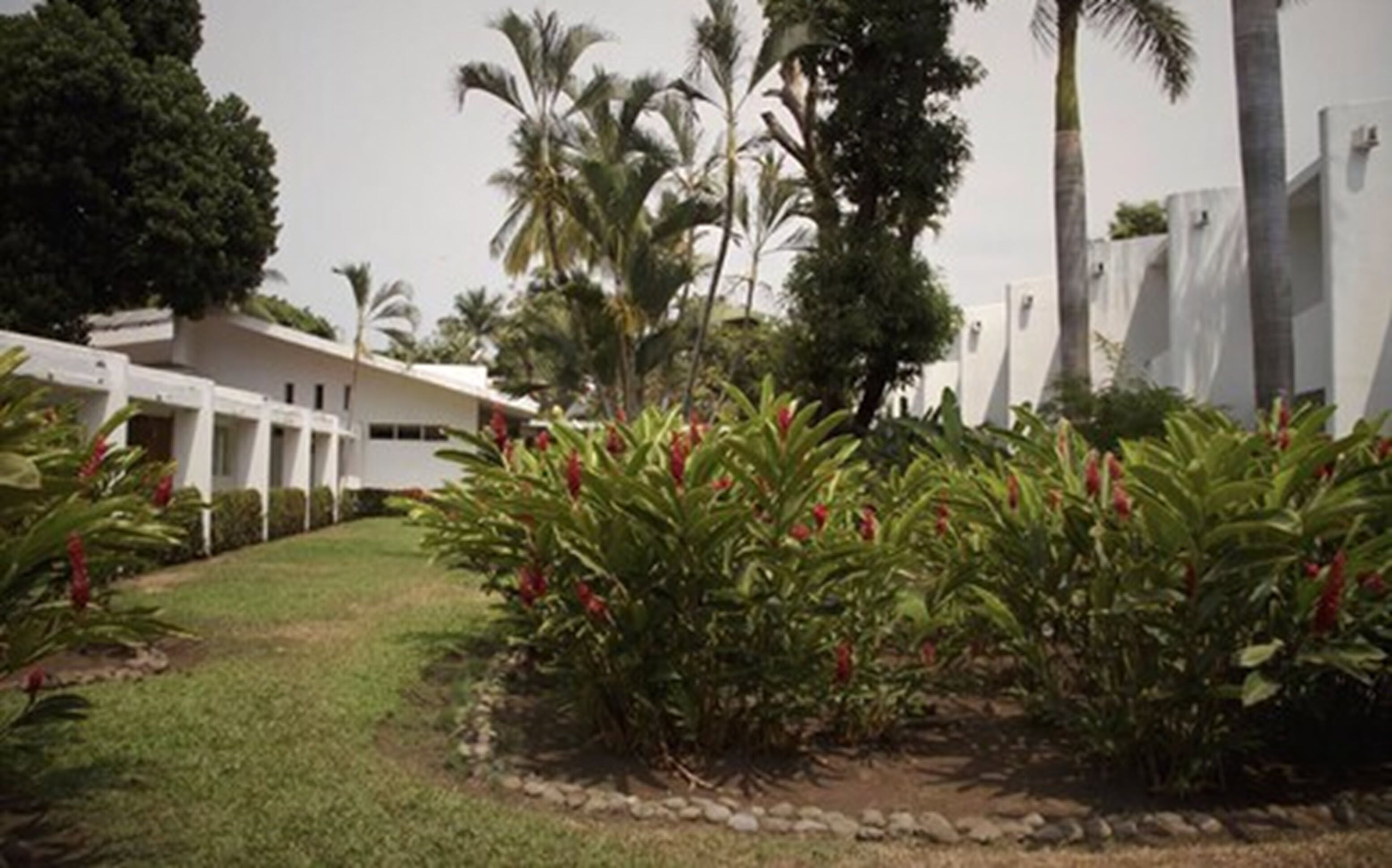 A modern building with a white facade, surrounded by well-maintained greenery and palm trees.