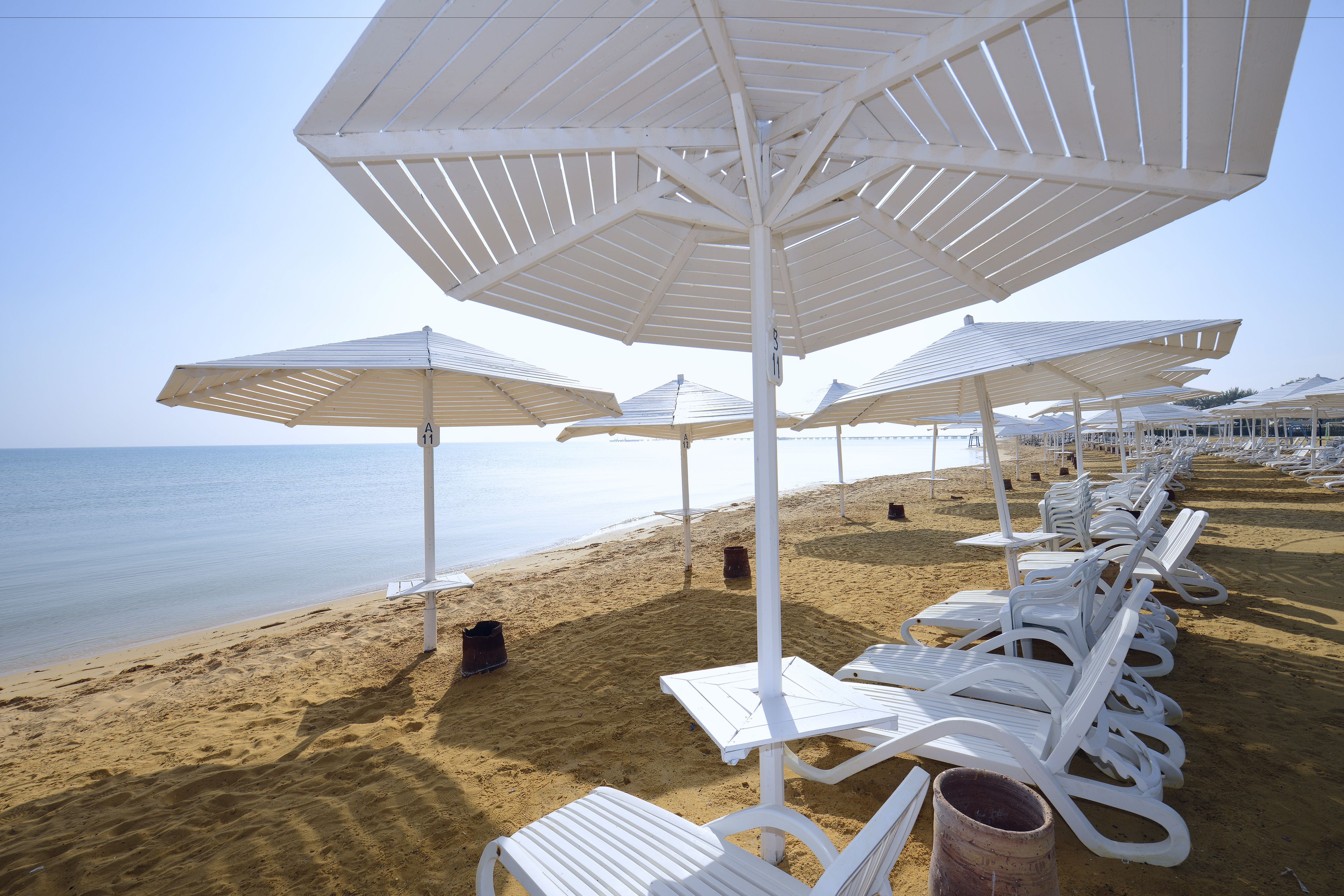 A beach with white umbrellas and lounge chairs arranged along the sand.
