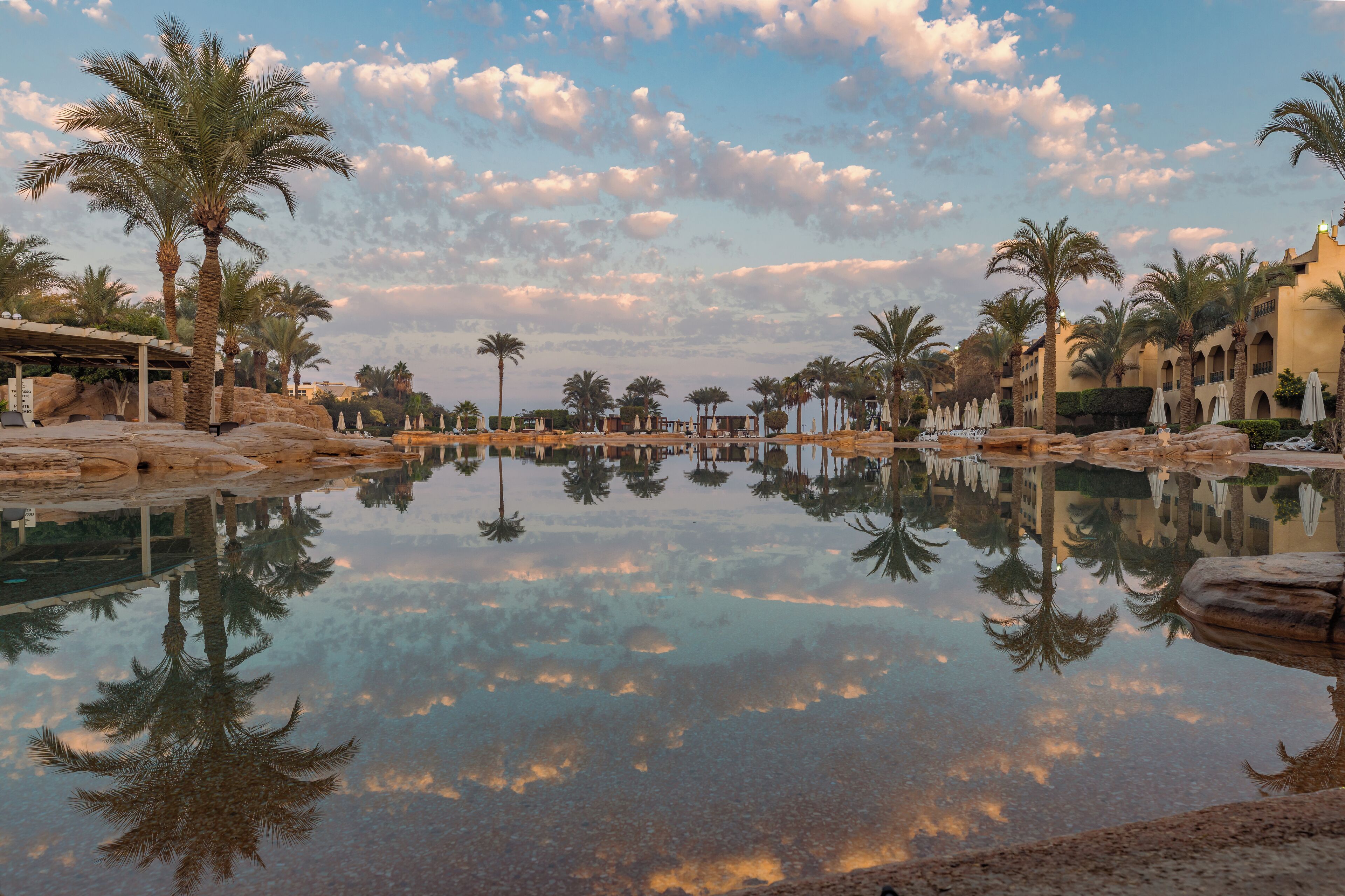 A resort pool with palm trees and a clear sky.