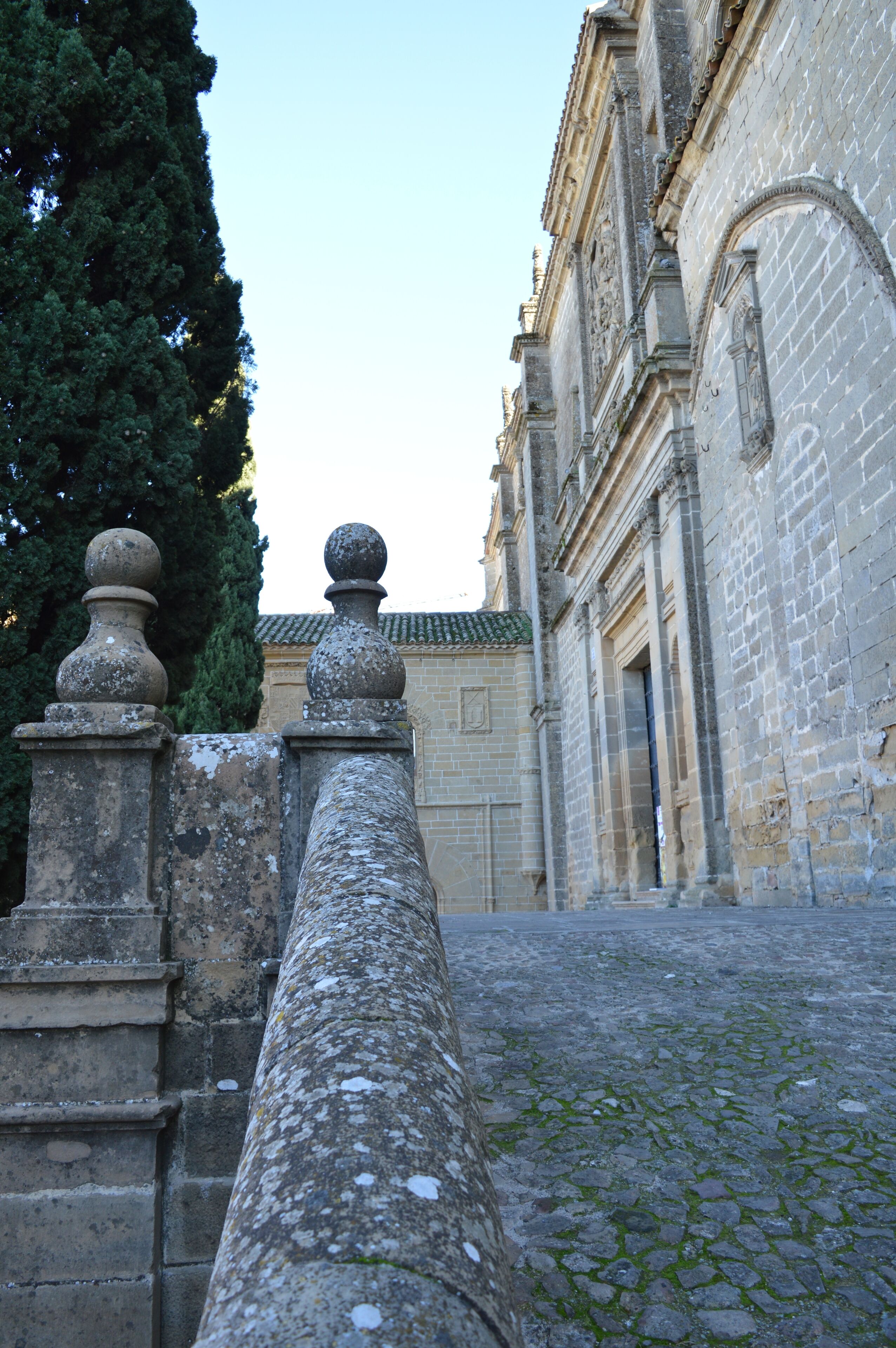 A cobblestone pathway leading to a historic building with a stone balustrade and a large tree in the background.