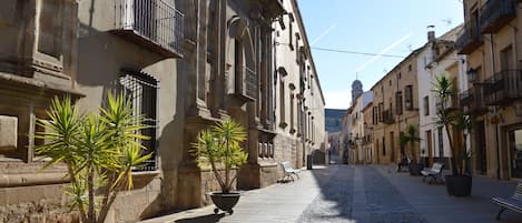 A cobblestone street lined with historic buildings, featuring potted plants and benches.