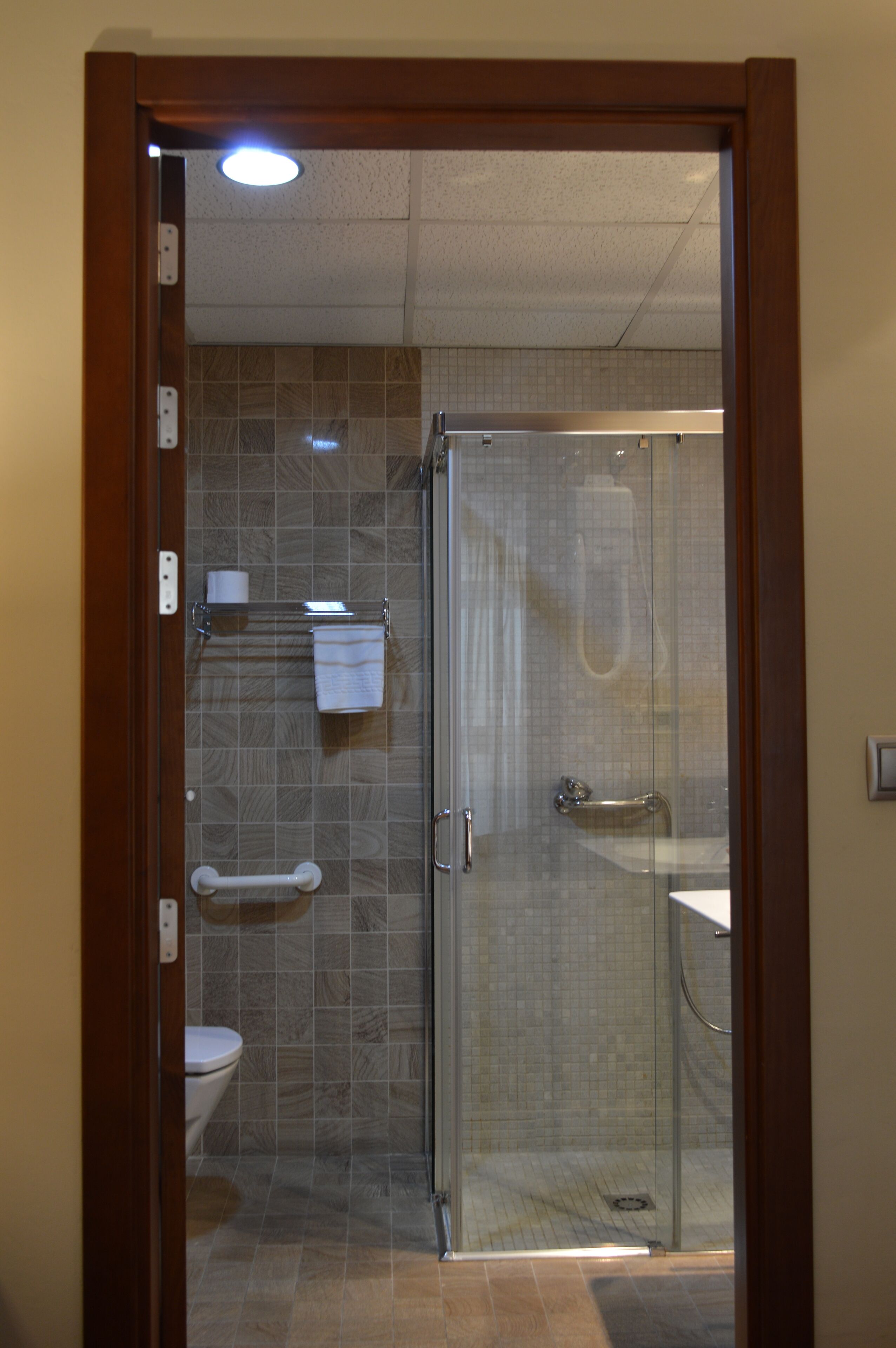 A bathroom with a glass shower enclosure, a toilet, a sink, and a towel rack.