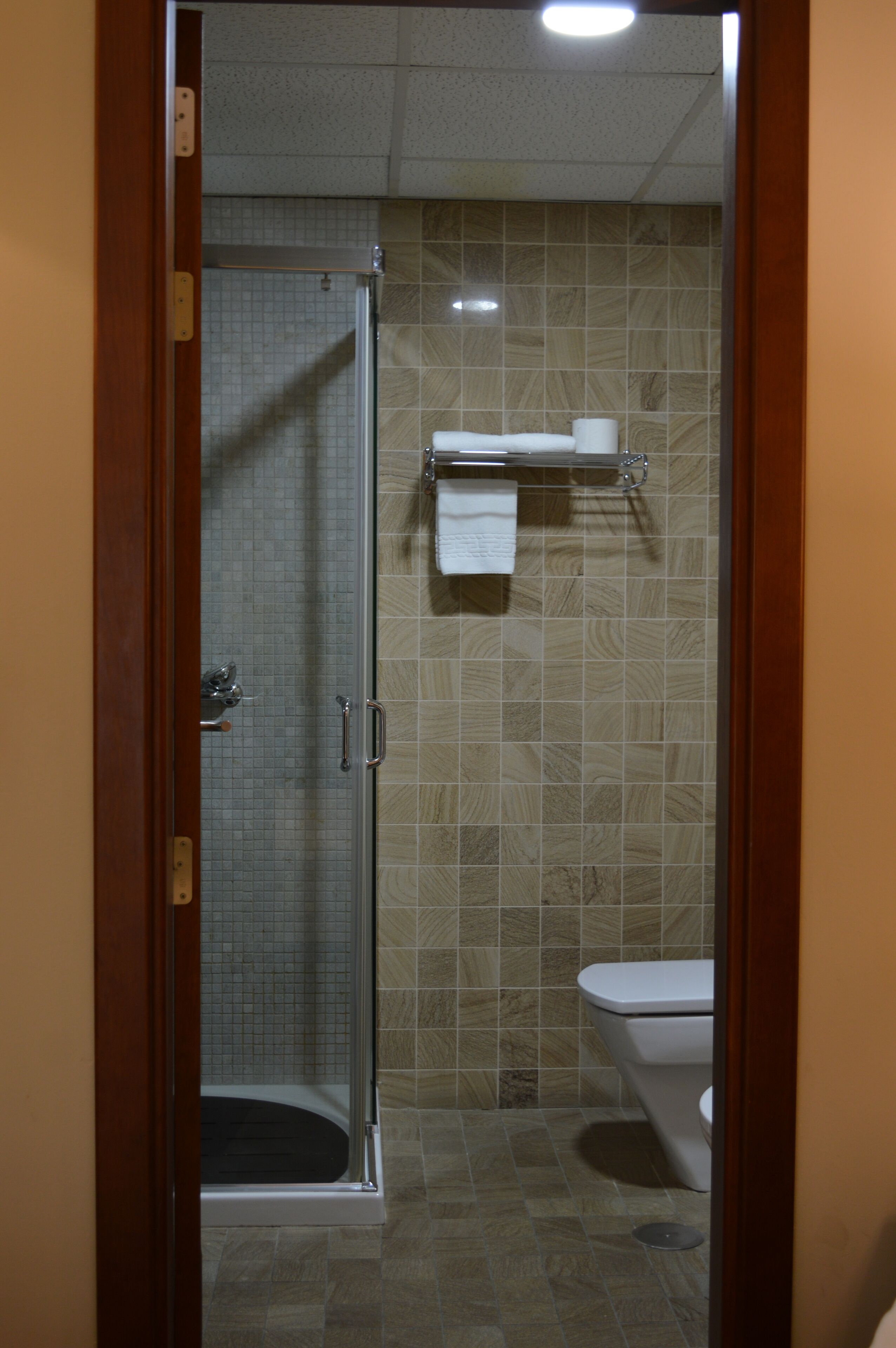 Un baño con mampara de vidrio, inodoro y repisa con toalla.