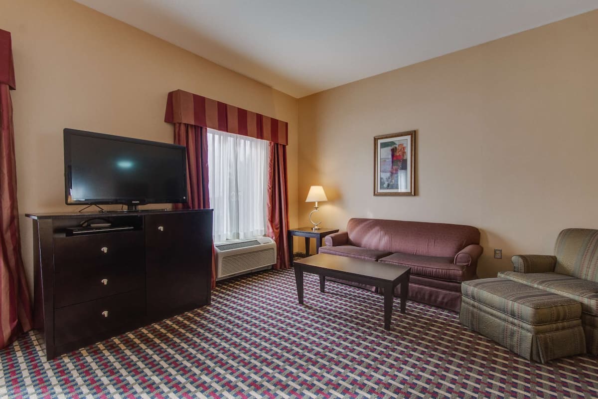 A hotel room with a television on a dresser, a sofa, a loveseat, a patterned carpet, and a window with curtains.