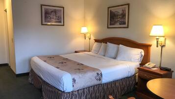 Room, 1 King Bed, Non Smoking | In-room business centre