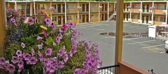 Americas Best Value Inn Pendleton