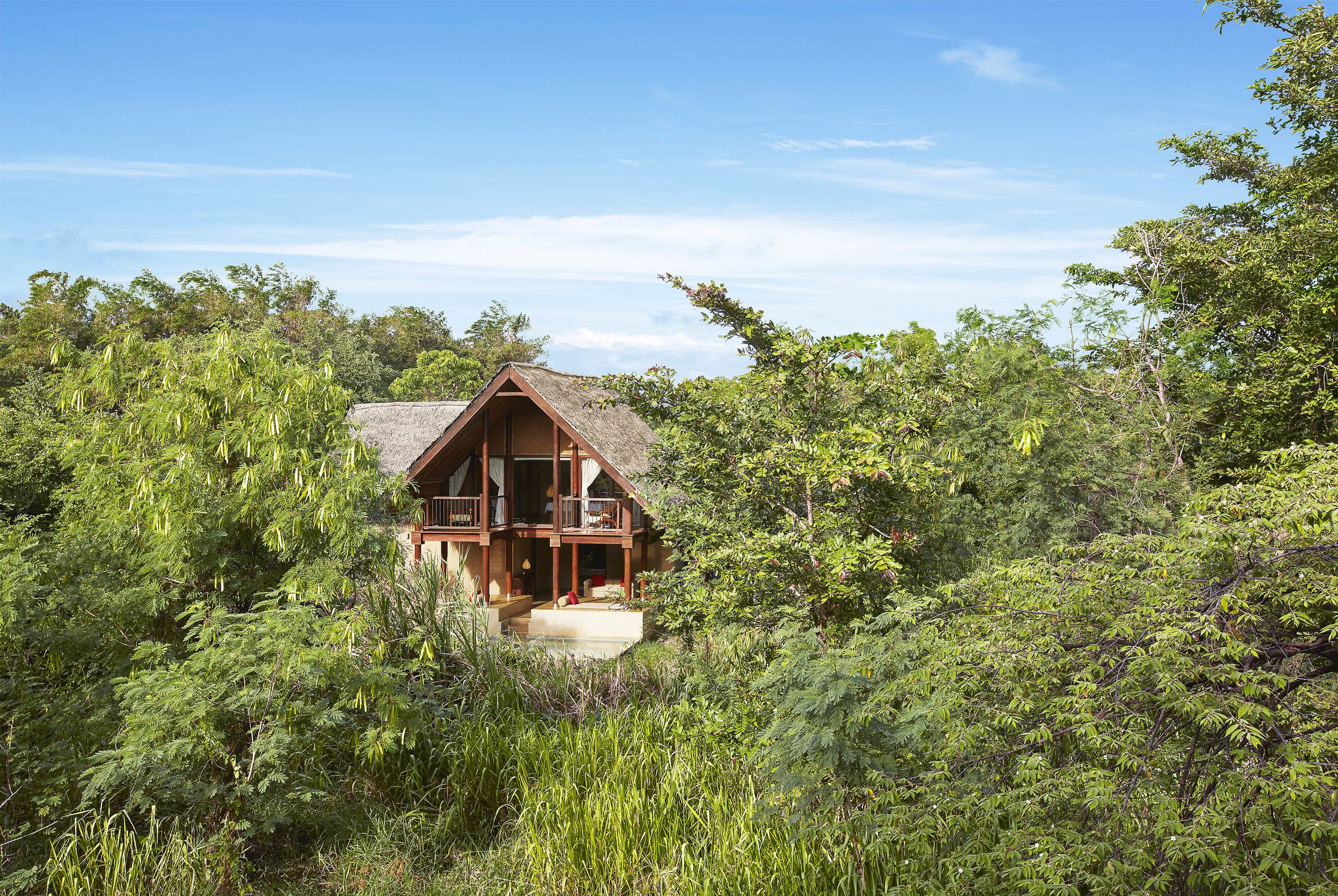 forest dwelling with pool | view from room