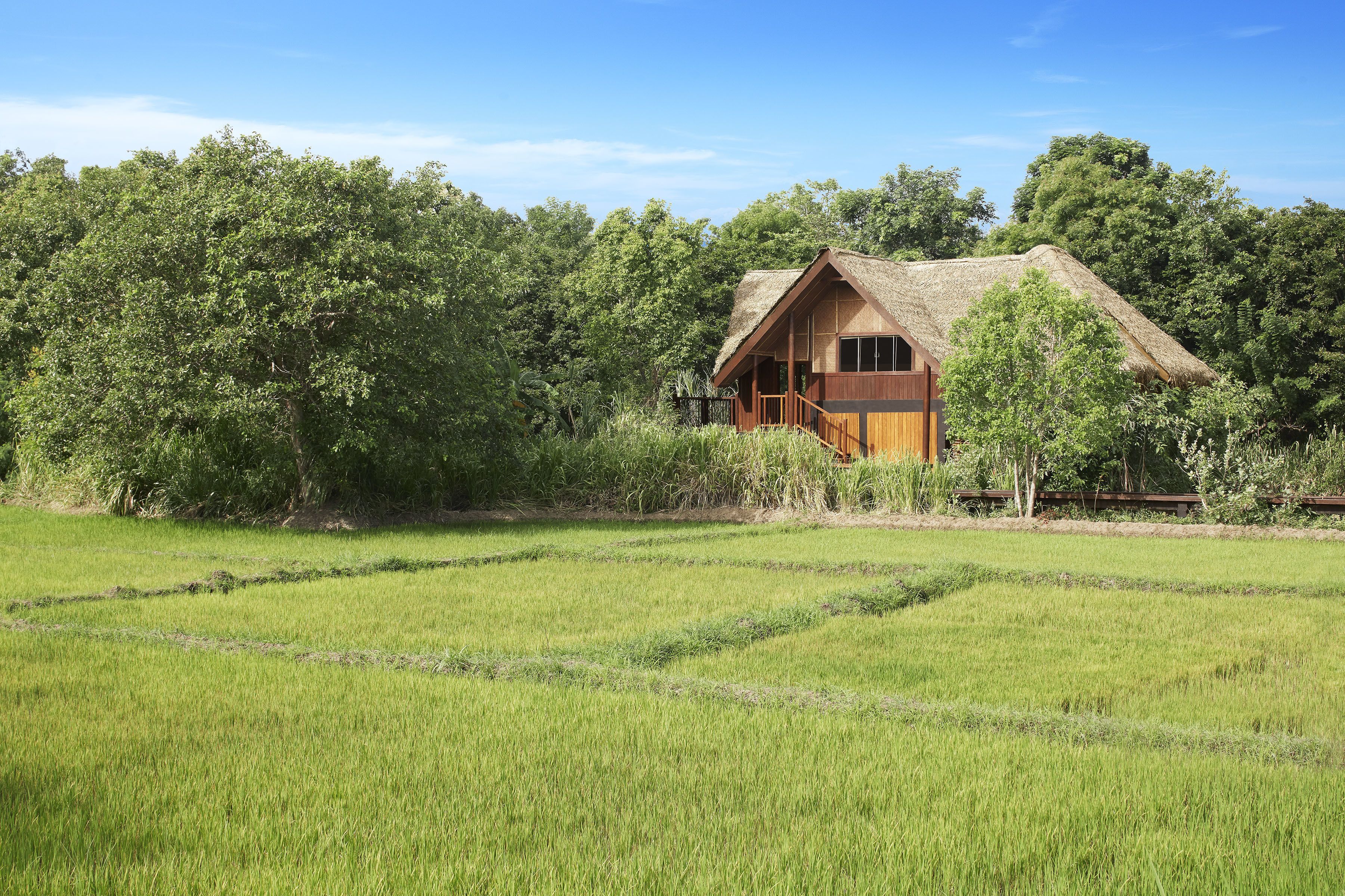 paddy dwelling with pool | view from room
