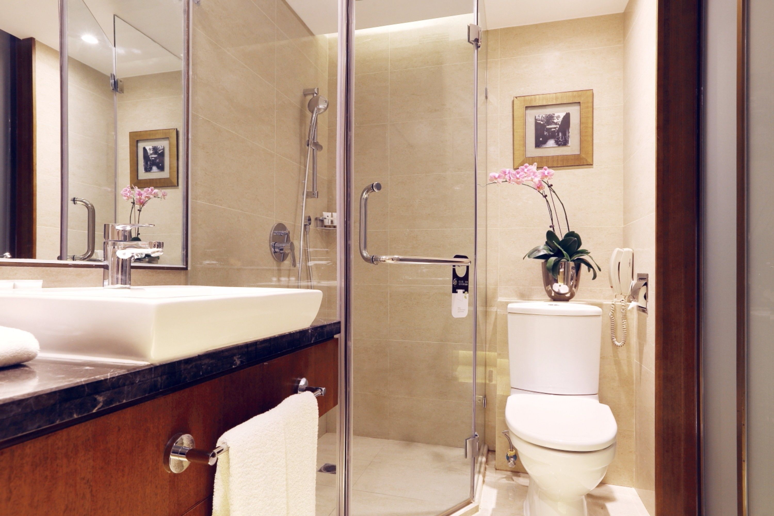 A modern bathroom with a glass shower enclosure, a white sink, and a toilet.