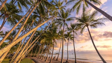 Enjoy a tranquil beachfront setting with palm trees leading to the ocean.