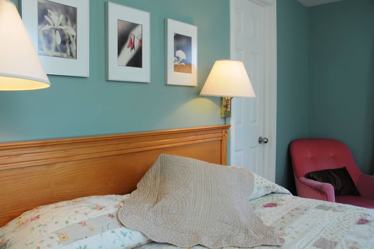 Superior Room, 1 Queen Bed | Desk, soundproofing, iron/ironing board, free WiFi