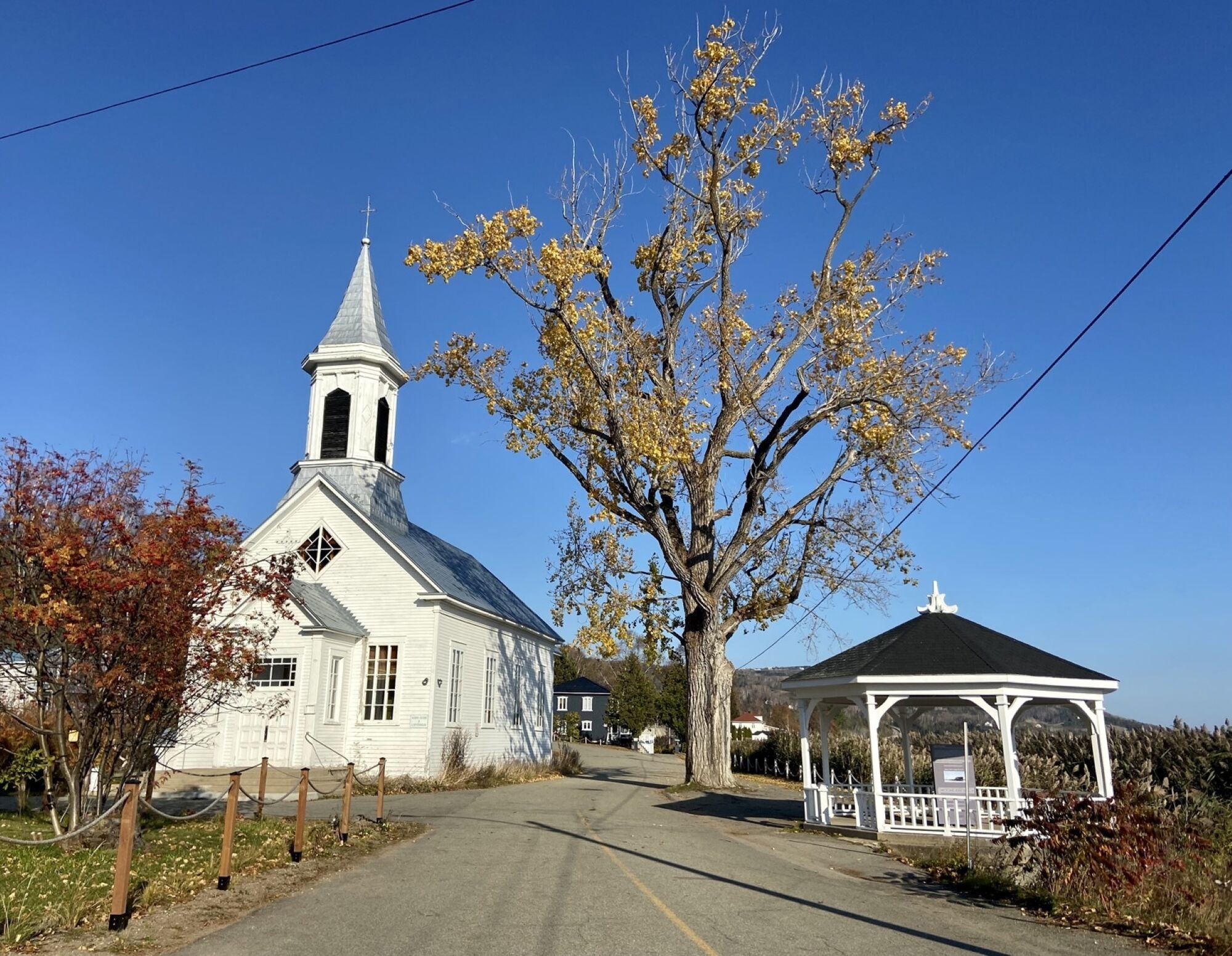 Una iglesia blanca con campanario, un pabellón y un árbol con hojas amarillas.