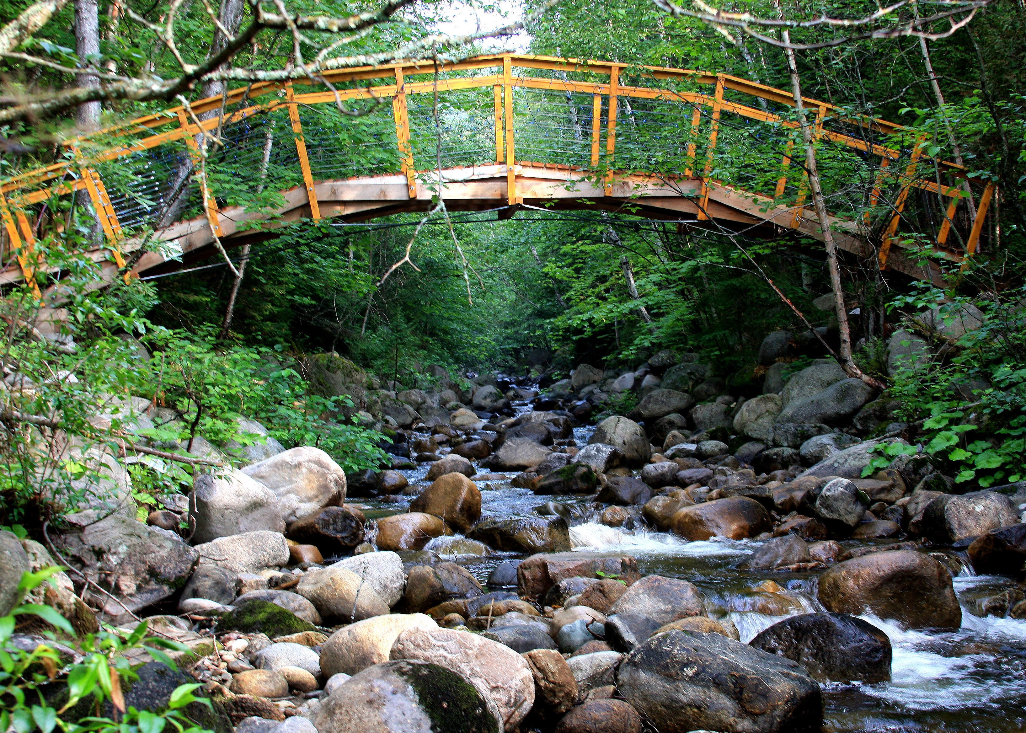 Uma ponte de madeira sobre um riacho pedregoso, cercada por vegetação densa.