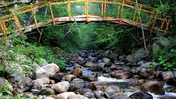 Uma ponte de madeira sobre um riacho pedregoso, cercada por vegetação densa.