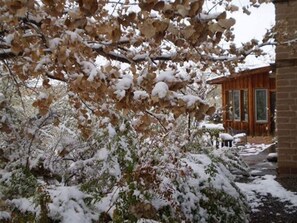 A wooden cabin with a brick exterior, surrounded by snow-covered trees and foliage. - Silver River Adobe Inn (Farmington)