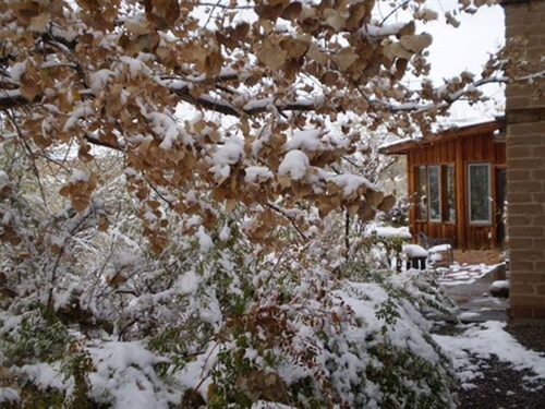 Silver River Adobe Inn