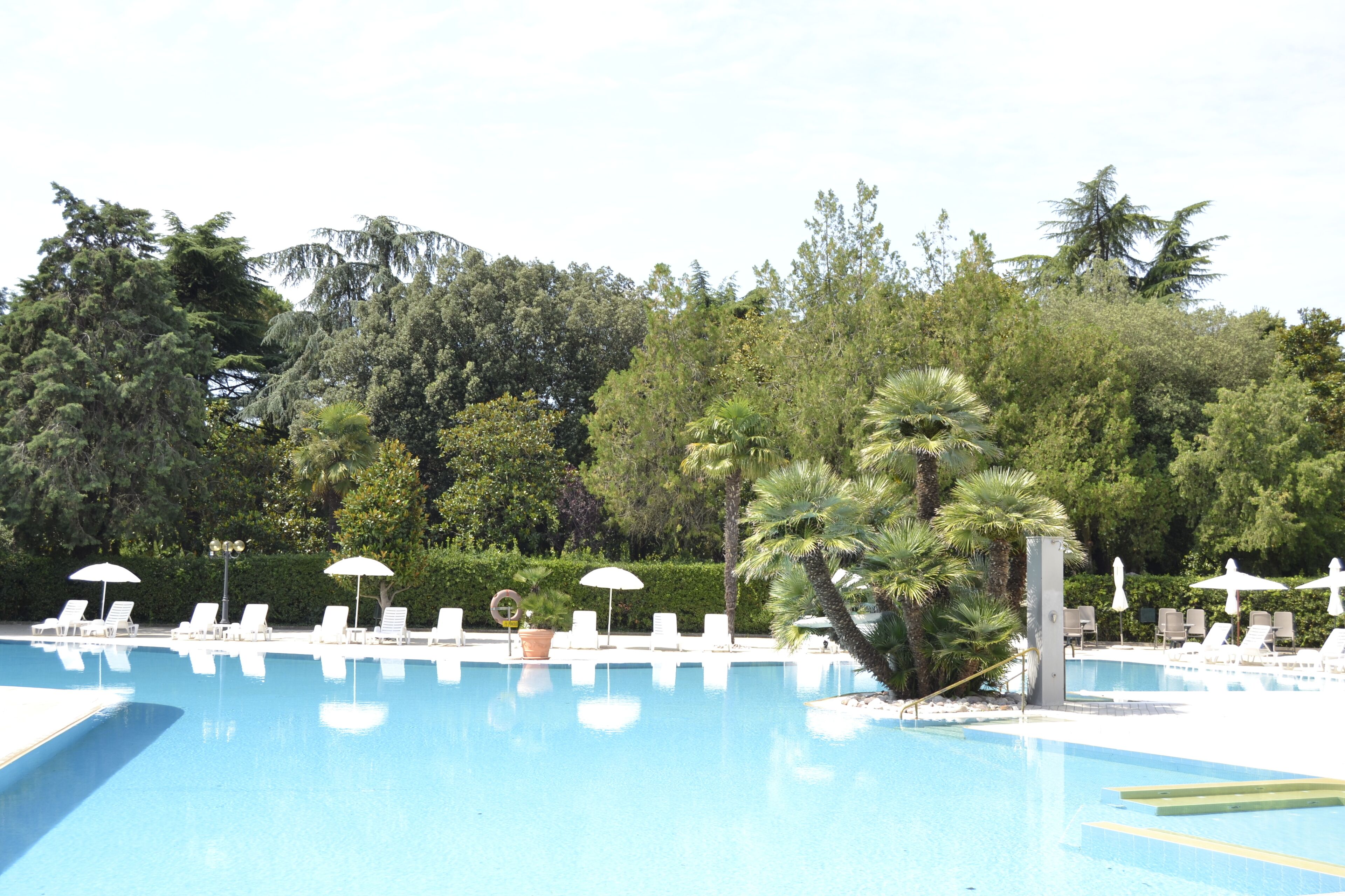 A swimming pool with white lounge chairs and umbrellas, surrounded by lush greenery and trees.