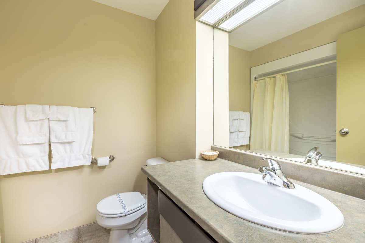 standard room | bathroom sink