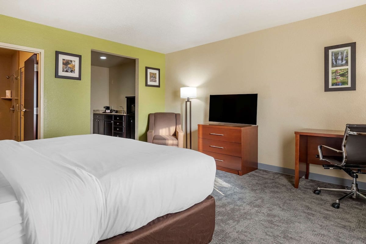 A hotel room with a bed, a desk, a chair, a TV, and a dresser.