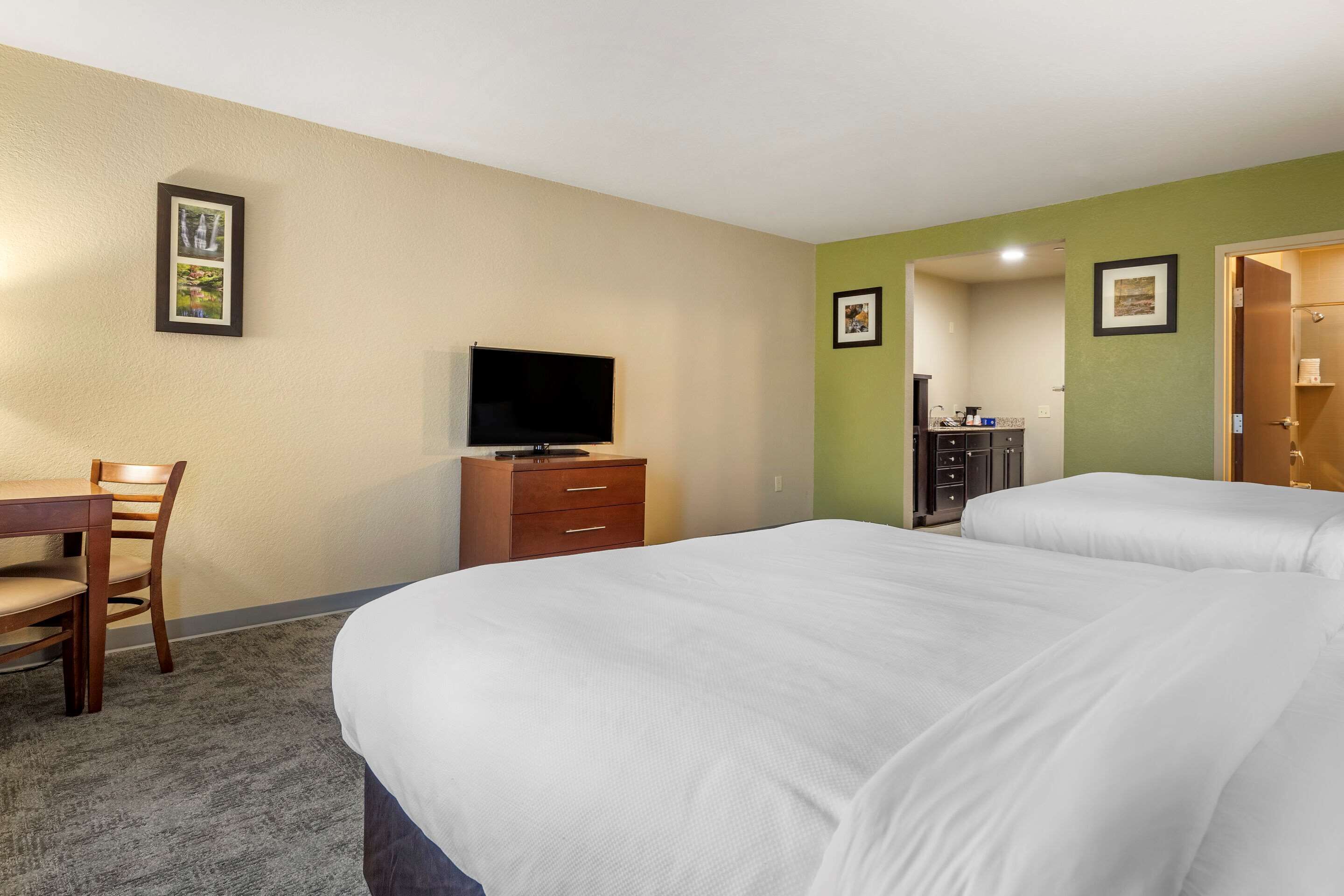 Habitación de hotel con una cama grande, un escritorio con una silla, un televisor y un aparador.