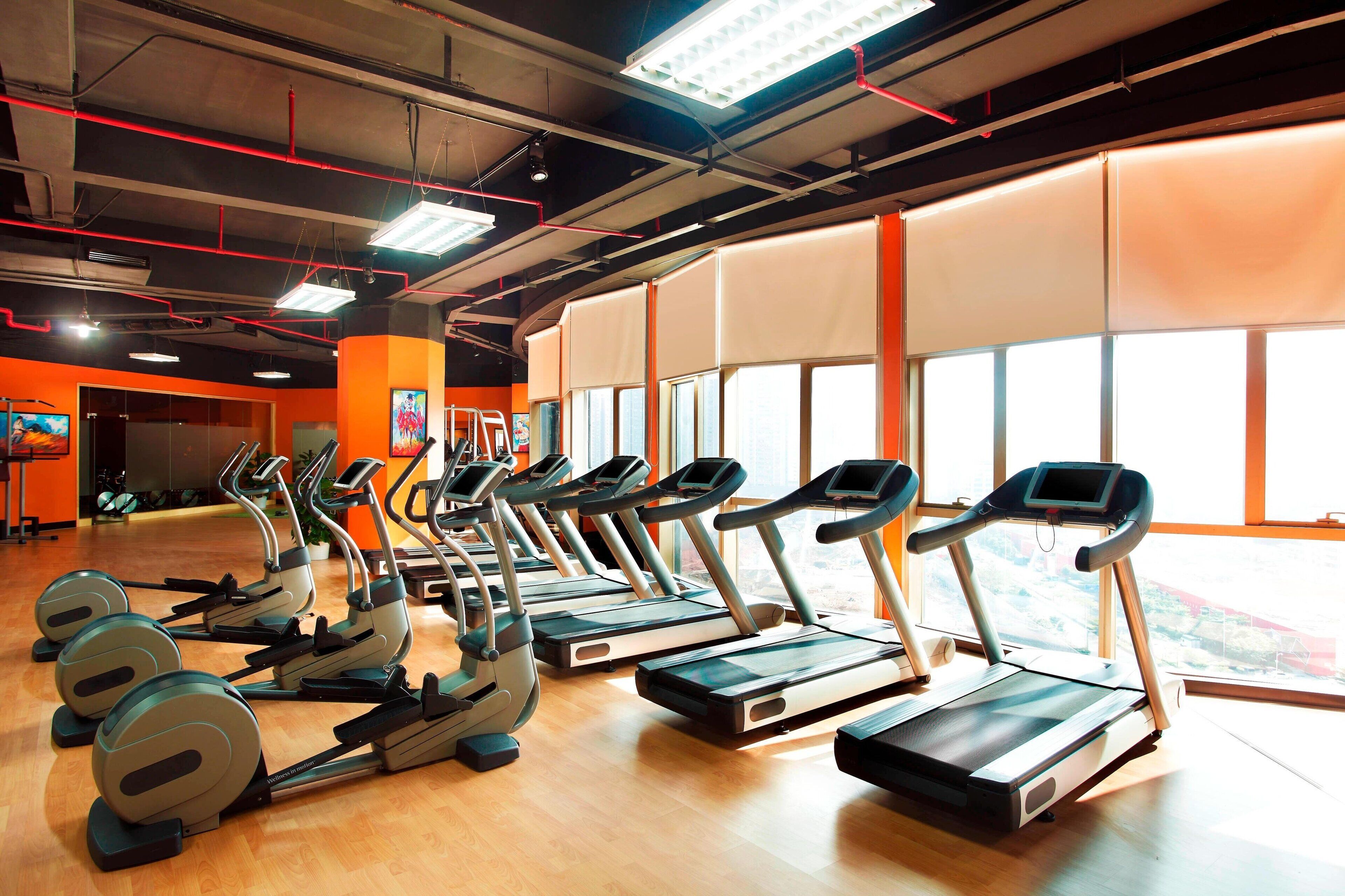 A gym with treadmills, elliptical machines, and weight benches.