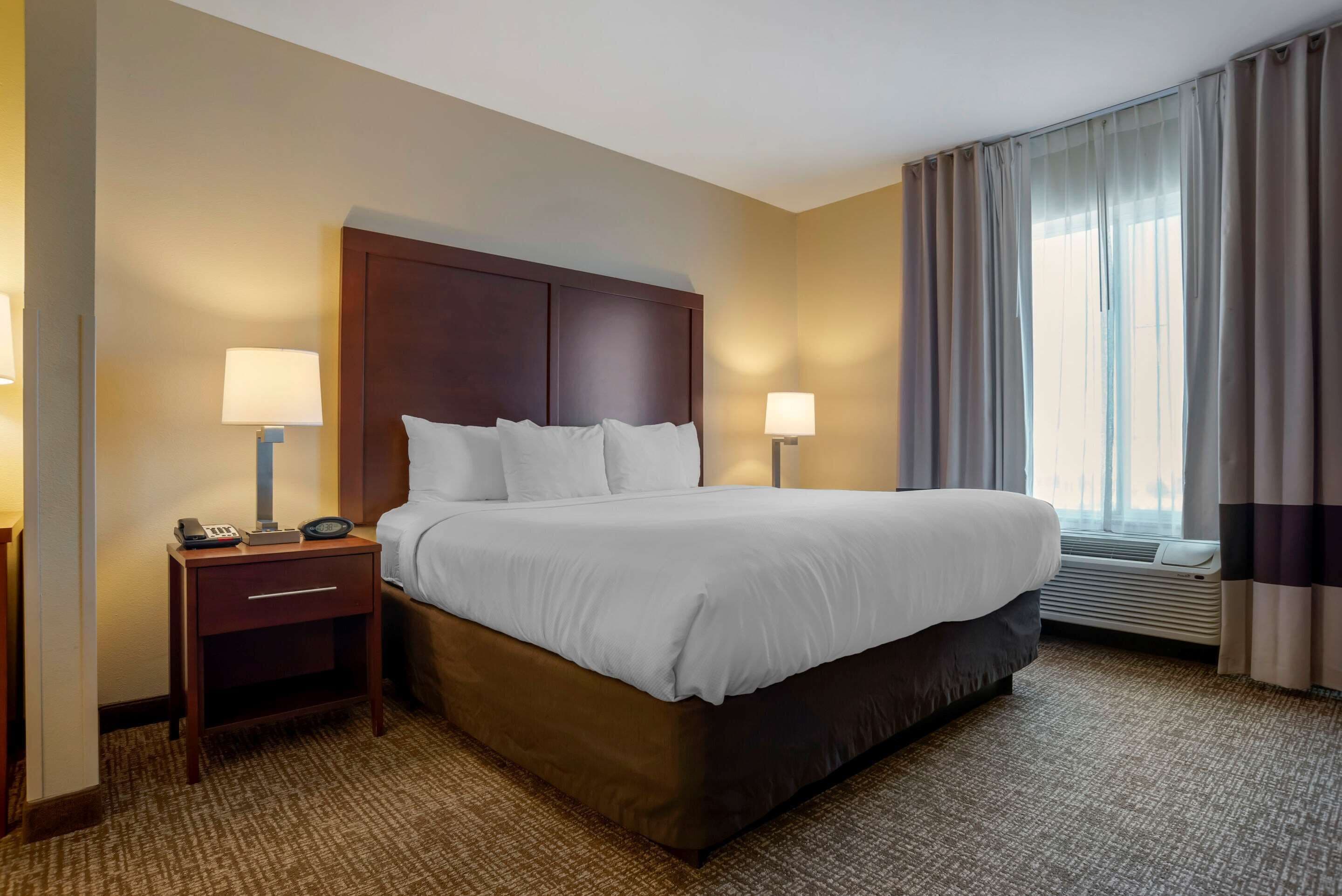 suite, 1 king bed, non smoking | desk, laptop workspace, blackout curtains, iron/ironing board