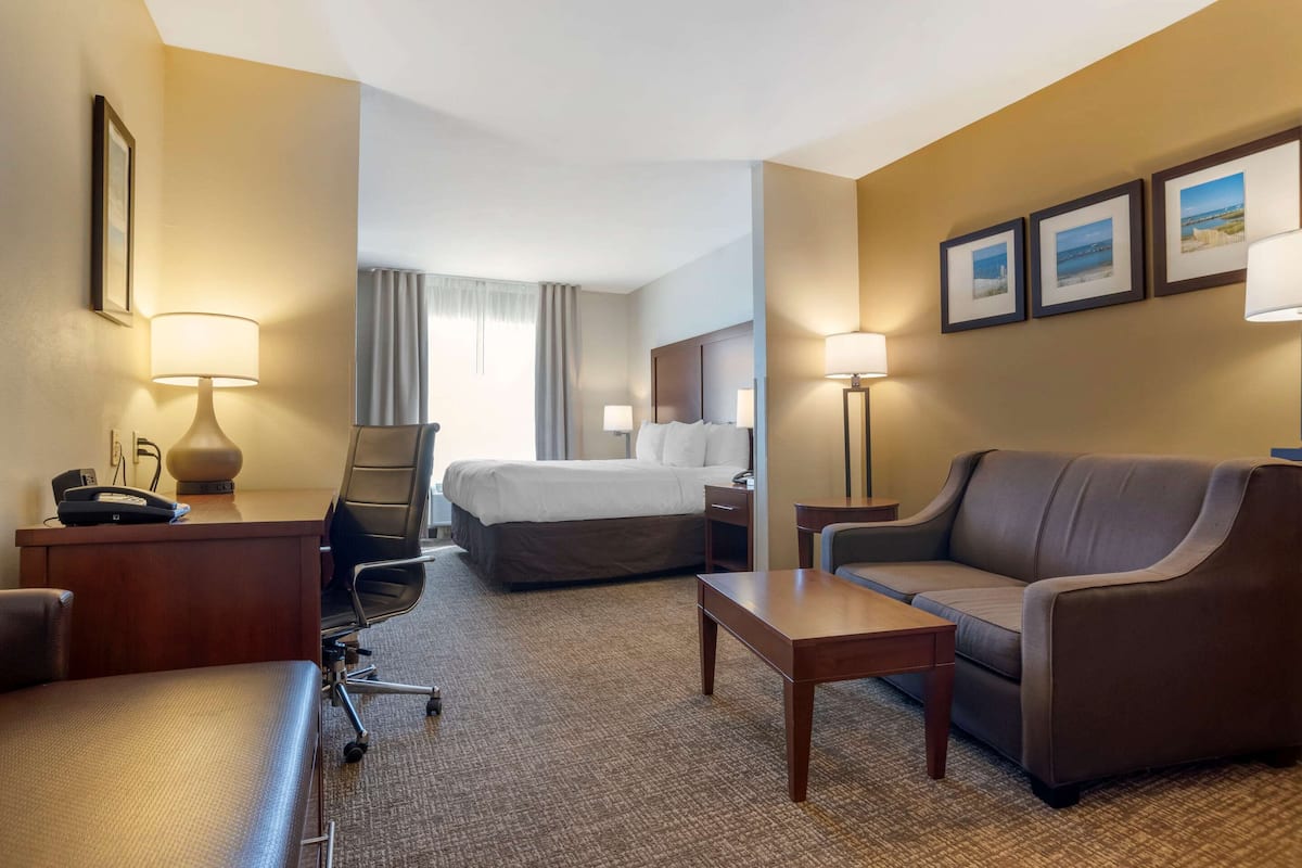 A hotel room with a bed, a sofa, a desk with a lamp, a chair, and a carpeted floor.
