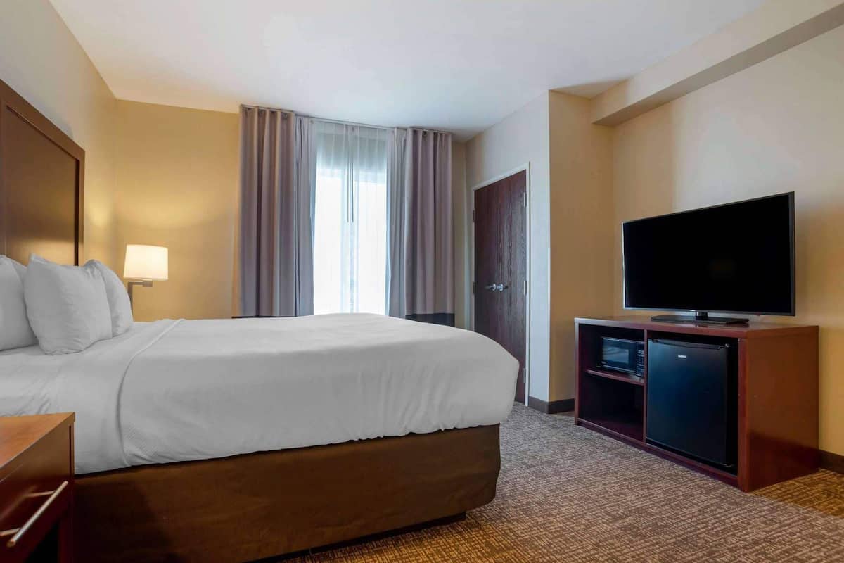 A hotel room with a large bed, a television, a minibar, and a door.