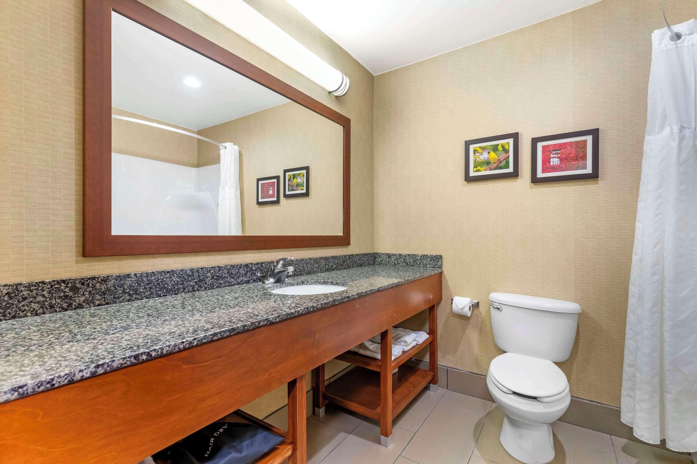 suite, 1 king bed with sofa bed, non smoking | down duvets, select comfort beds, in-room safe, desk