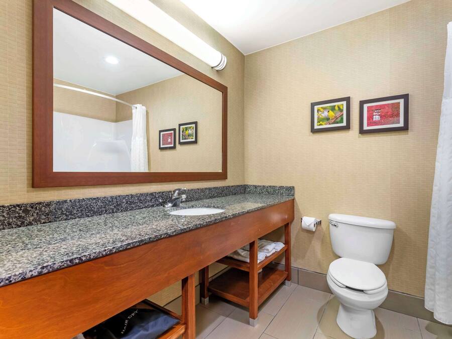 Un bagno con un top in granito, un vano contenitore in legno, un water bianco e una tenda da doccia.