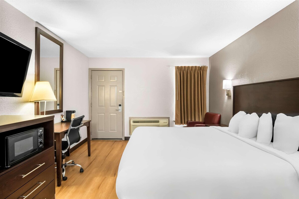 A hotel room with a bed, a desk with a chair, a television, a microwave, a heater, and a door.